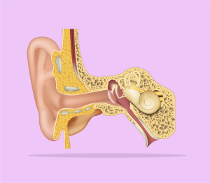 Ilustração de uma tuba auditiva