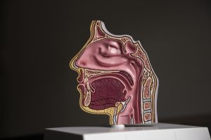 Faringite viral ou bacteriana